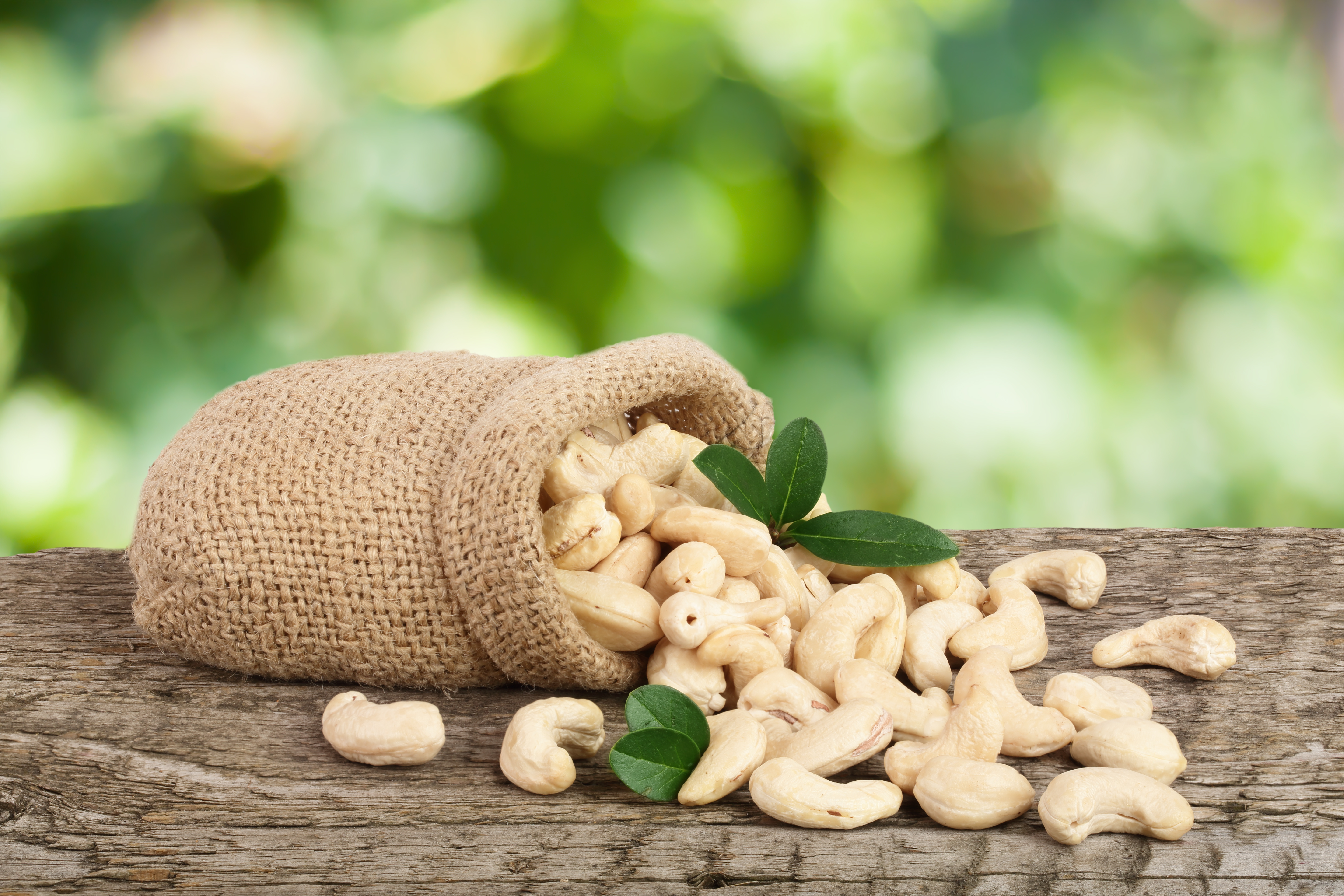Premium nuts and cashew supplier Coimbatore